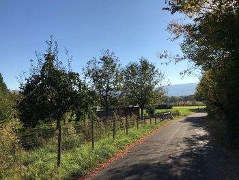 Road amidst trees against sky