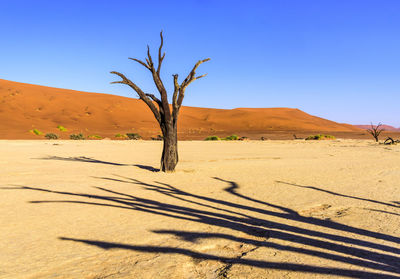 Scenic view of desert against clear sky