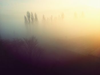 Scenic view of silhouette trees against sky