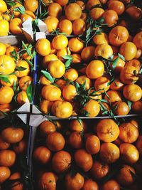 Full frame of food in market