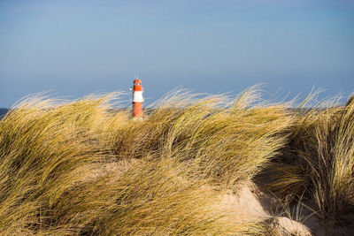 View of lighthouse on shore against sky