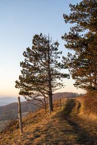 Hike along the dieteröder cliffs - natural park eichsfeld - hainich - werratal 