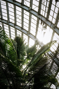 Low angle view of skylight