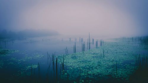 Scenic view of field against sky during foggy weather