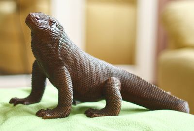 Close-up of lizard on bed at home