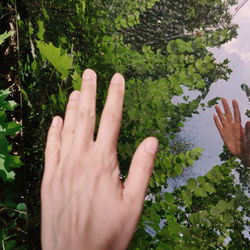 Midsection of person touching plants