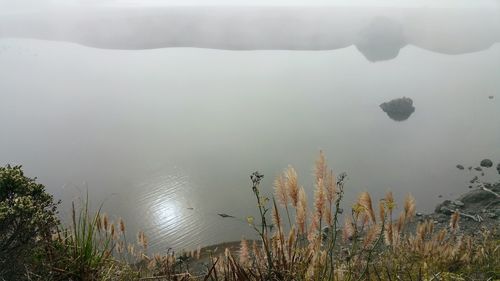 High angle view of foggy misty ocean and sandbar.