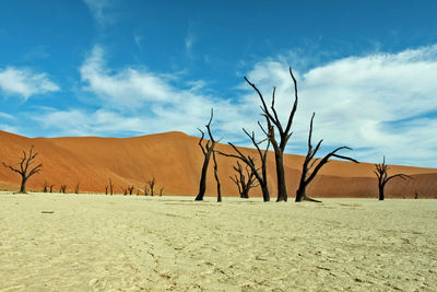 Scenic view of desert against sky