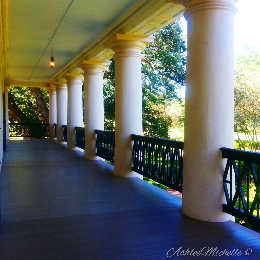 indoors, architectural column, built structure, architecture, corridor, sunlight, the way forward, empty, column, railing, absence, flooring, tree, window, day, shadow, arch, no people, tiled floor, diminishing perspective