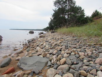 Surface level of pebble beach