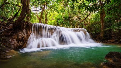 Scenic view of waterfall in forest