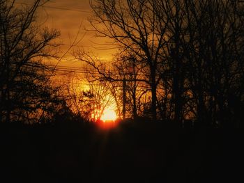 Silhouette of trees at sunset