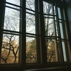 View of building through window