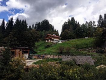 Houses and trees in forest against sky