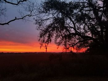 Silhouette tree against dramatic sky during sunset