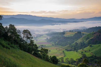 Scenic view of landscape against sky during sunset