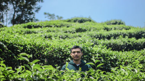 Portrait of teenage boy standing amidst tea crops on farm