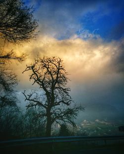 Silhouette bare tree against sky during sunset