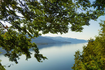 Scenic view of lake by trees against sky