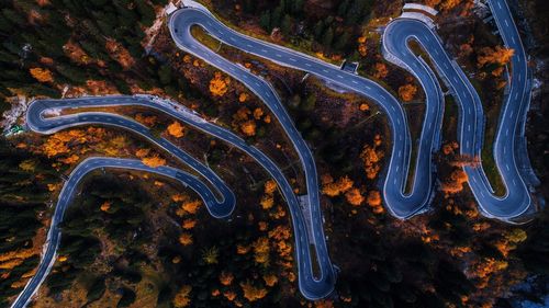 High angle view of road amidst trees