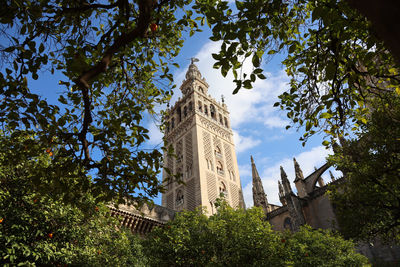 Low angle view of trees and building against sky