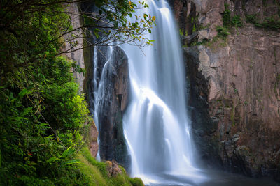 Low angle view of waterfall in forest