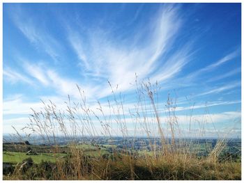 Scenic view of landscape against blue sky