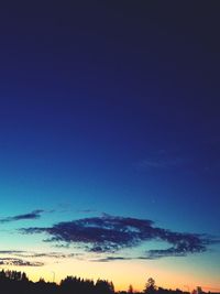 Low angle view of silhouette trees against blue sky