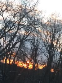 Low angle view of silhouette trees against sky during sunset