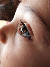 Close-up of human eye