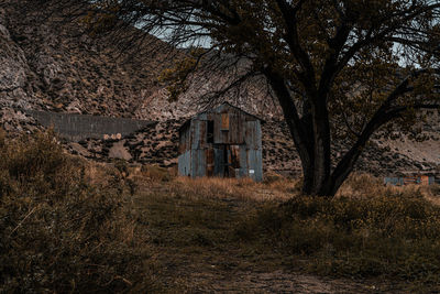 Abandoned building and trees on field