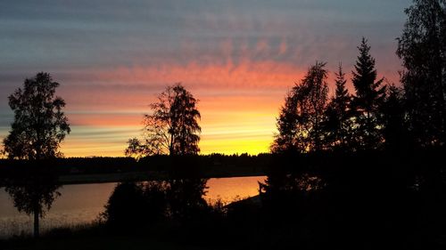 Silhouette of trees at sunset