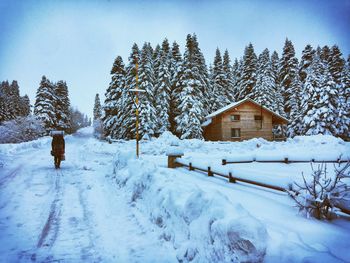 Snow covered trees and houses on field against sky