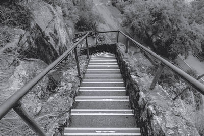 Stairs along trees