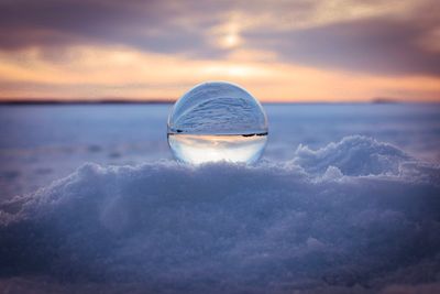 Jellyfish in sea during sunset