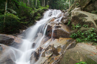 Scenic view of waterfall in forest