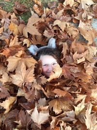 High angle view of girl by dry leaves on field