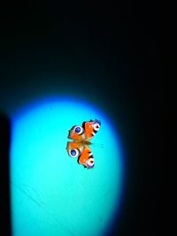 Close-up of illuminated lighting equipment on table against black background