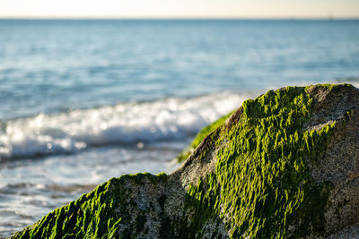 Scenic view of rocks on beach against sky