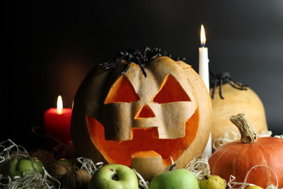 Close-up of pumpkin against black background