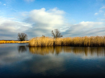 Scenic view of lake against sky