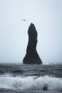 Bird flying over sea against sky