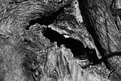 Close-up of rock formation in cave
