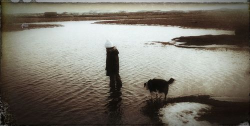 Reflection of dog in water