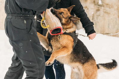 Low section of person with dog during winter