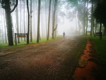 Man walking in forest during foggy weather