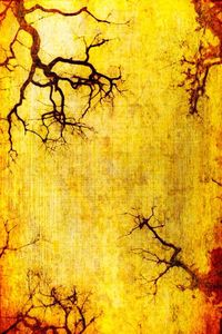 Low angle view of bare trees