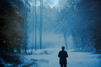 Rear view of person standing on snow covered land