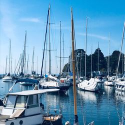 Sailboats moored in harbor against sky