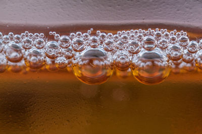 Cropped image of frothy beer in glass